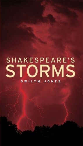 Cover image for Shakespeare's Storms