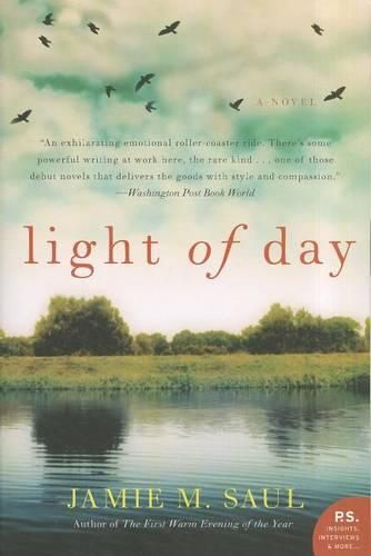 Cover image for Light of Day: A Novel