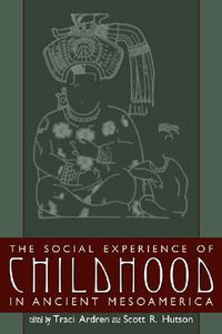 Cover image for The Social Experience of Childhood in Ancient Mesoamerica