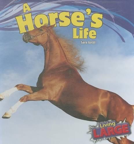 Cover image for A Horses Life