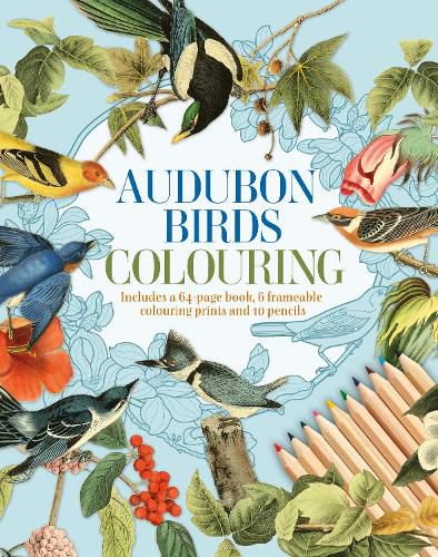 Cover image for Audubon Birds Colouring Kit