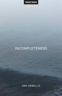 Cover image for Incompleteness