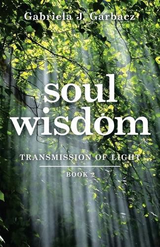 Cover image for Soul Wisdom: Transmission of Light