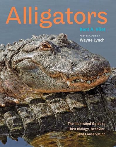 Cover image for Alligators: The Illustrated Guide to Their Biology, Behavior, and Conservation