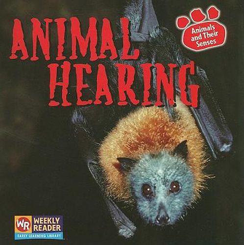 Cover image for Animal Hearing