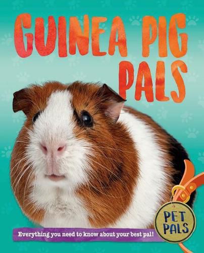 Cover image for Guinea Pig Pals