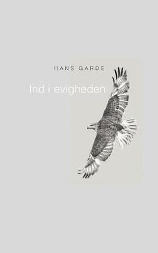 Cover image for Ind i evigheden