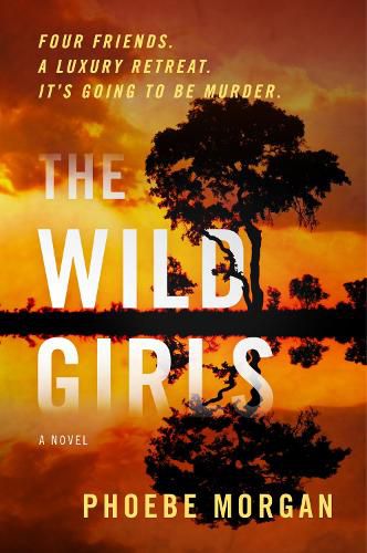 Cover image for The Wild Girls