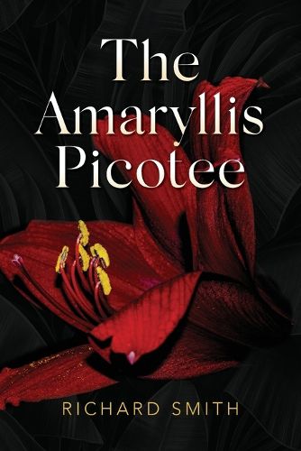 Cover image for The Amaryllis Picotee