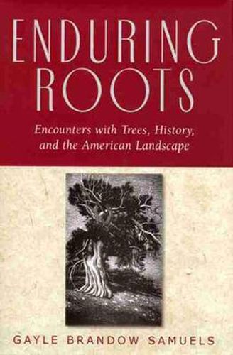 Cover image for Enduring Roots: Encounters with Trees, History, and the American Landscape