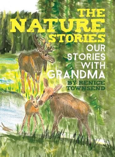 Cover image for The Nature Stories: Our Stories with Grandma