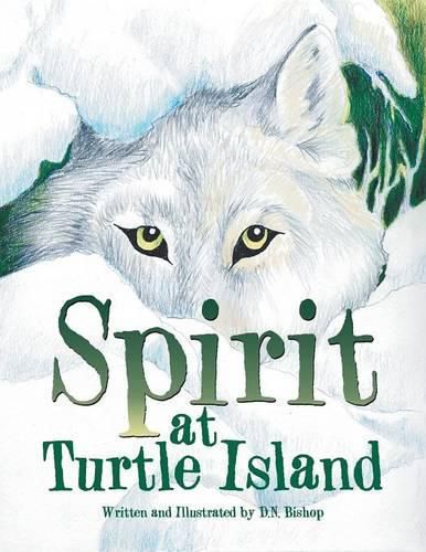 Cover image for Spirit at Turtle Island