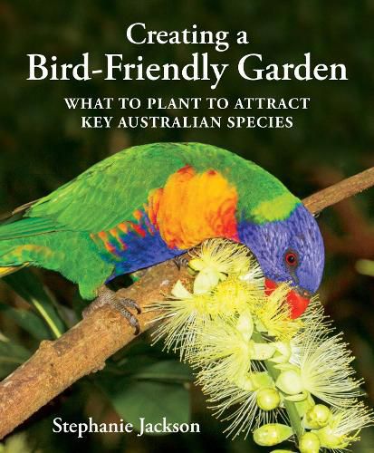 Creating a Bird Friendly Garden