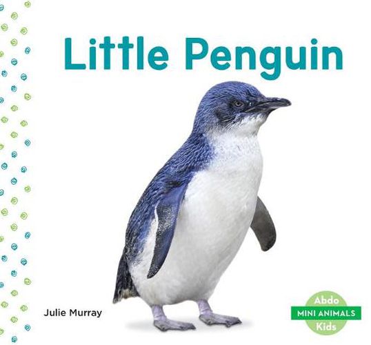 Cover image for Little Penguin