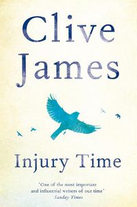Cover image for Injury Time