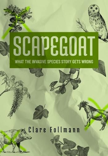 Cover image for Scapegoat