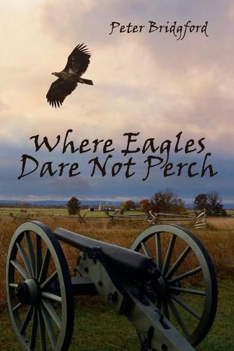 Cover image for Where Eagles Dare Not Perch