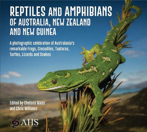 Cover image for Reptiles and Amphibians of Australia, New Zealand and New Guinea: A photographic celebration of Australasia's remarkable Frogs, Crocodiles, Tuataras, Turtles, Lizards and Snakes