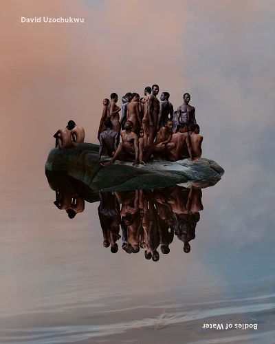 Cover image for David Uzochukwu