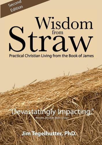 Cover image for Wisdom from Straw