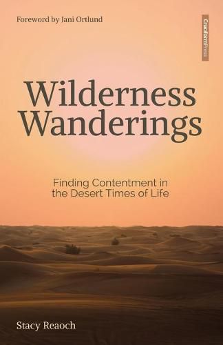 Cover image for Wilderness Wanderings: Finding Contentment in the Desert Times of Life