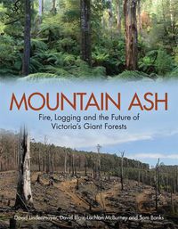 Cover image for Mountain Ash: Fire, Logging and the Future of Victoria's Giant Forests