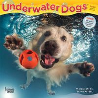 Cover image for Underwater Dogs 2020 Mini Wall Calendar