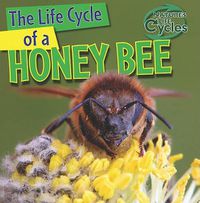 Cover image for The Life Cycle of a Honeybee