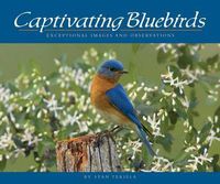 Cover image for Captivating Bluebirds: Exceptional Images and Observations