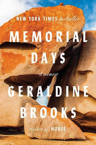 Cover image for Memorial Days