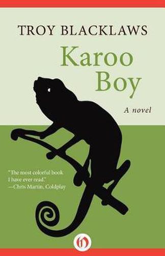 Cover image for Karoo Boy