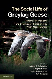 Cover image for The Social Life of Greylag Geese: Patterns, Mechanisms and Evolutionary Function in an Avian Model System