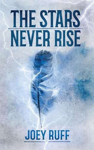 Cover image for The Stars Never Rise