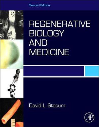 Cover image for Regenerative Biology and Medicine