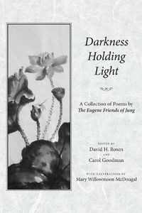 Cover image for Darkness Holding Light