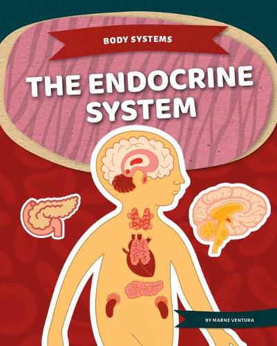 Cover image for The Endocrine System