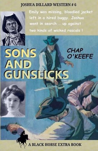 Cover image for Sons and Gunslicks