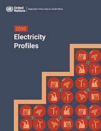 Cover image for 2020 electricity profiles