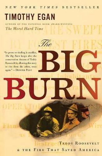 Cover image for Big Burn, The