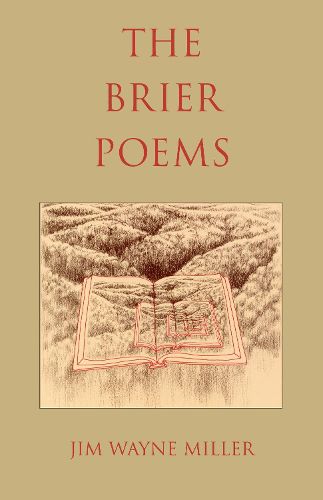 Cover image for The Brier Poems