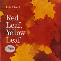 Cover image for Red Leaf, Yellow Leaf