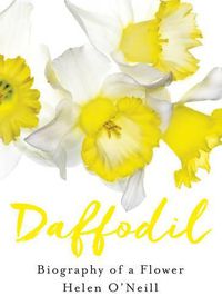 Cover image for Daffodil
