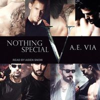 Cover image for Nothing Special V