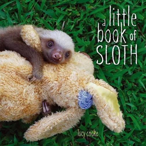 Cover image for A Little Book of Sloth