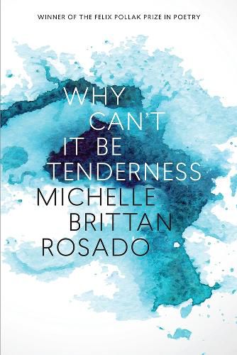 Cover image for Why Can't It Be Tenderness