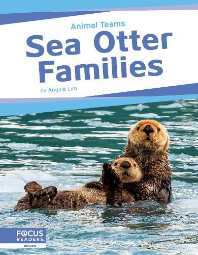 Cover image for Sea Otter Families