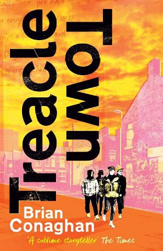 Cover image for Treacle Town