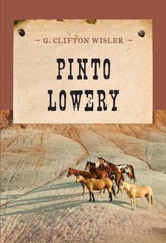 Cover image for Pinto Lowery