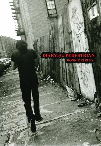 Cover image for Diary of a Pedestrian: A New York Photo Memoir