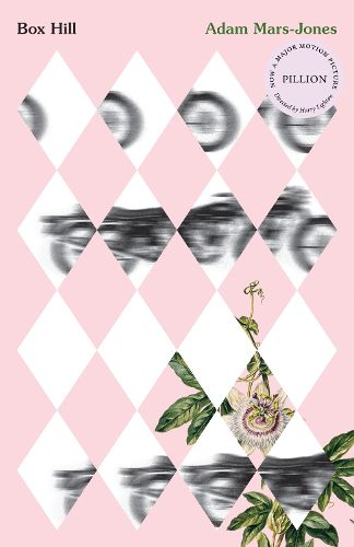 Cover image for Box Hill: A Story of Low Self-Esteem